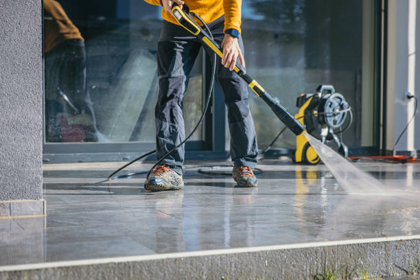 Best Roof Washing  in Lakeview, CA