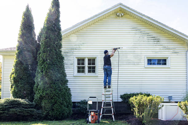 Professional Pressure Washing Services in Lakeview, CA