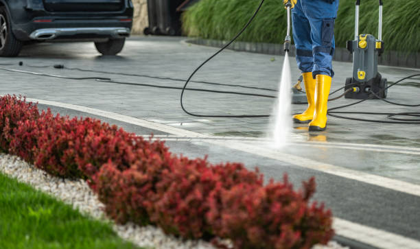 Best Solar Panel Cleaning  in Lakeview, CA